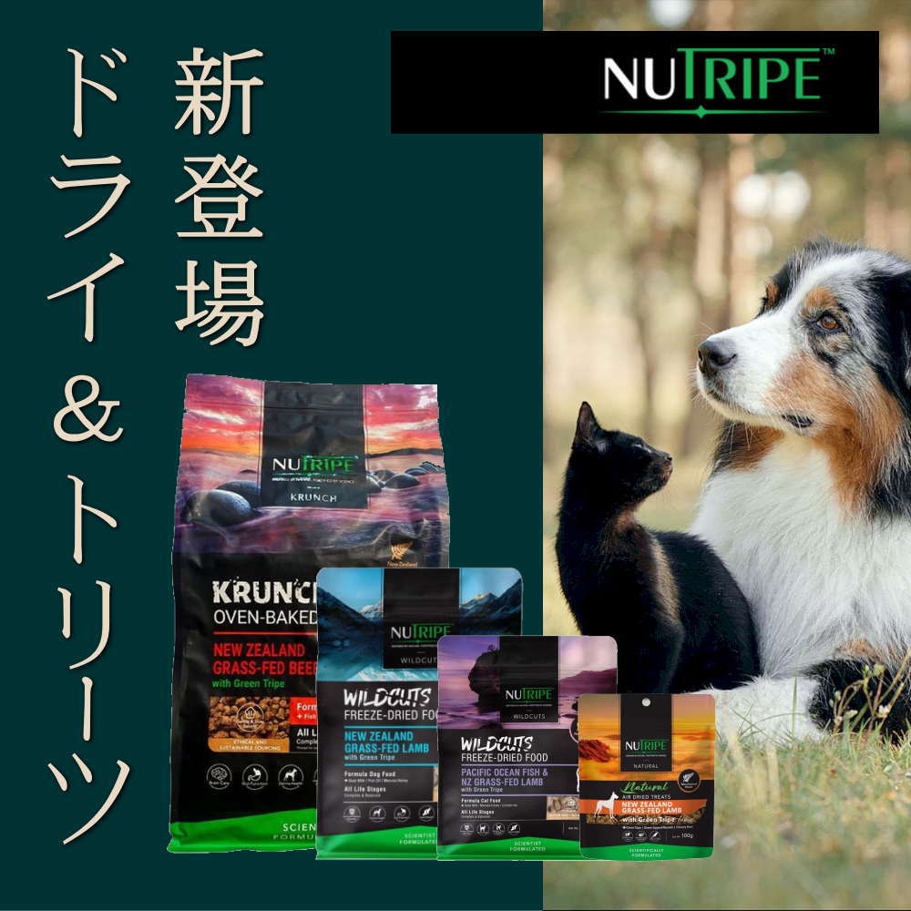 最短賞味2026.11・リニューアル品ママクック 猫 フリーズドライのムネ