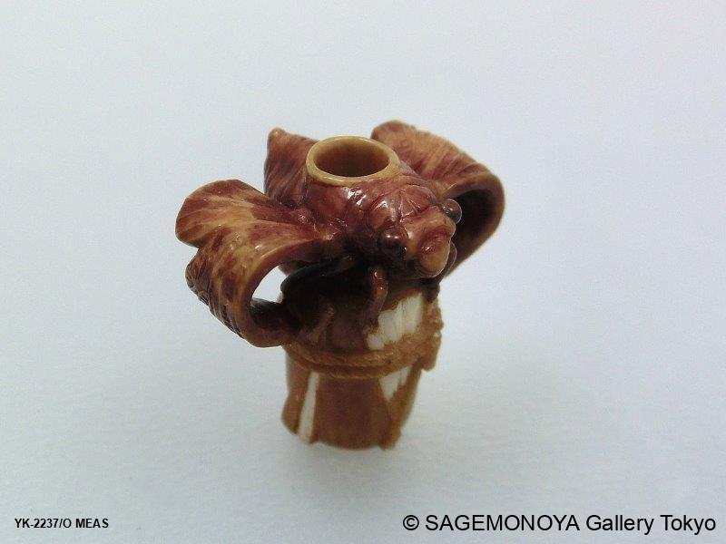 根付 木製 タヌキ 辻 銘 img58639375.jpg