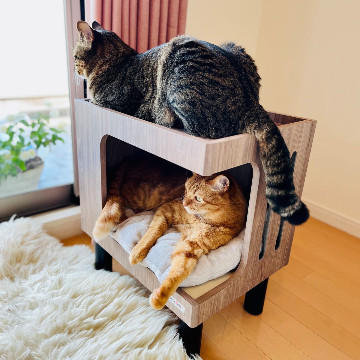 ビンテージ 木製サイドテーブル 猫脚 剥離 ベッドサイドテーブル