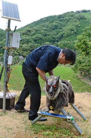 オオカミ形装置」で害獣撃退 音や光で威嚇 福岡・添田町、九州初導入