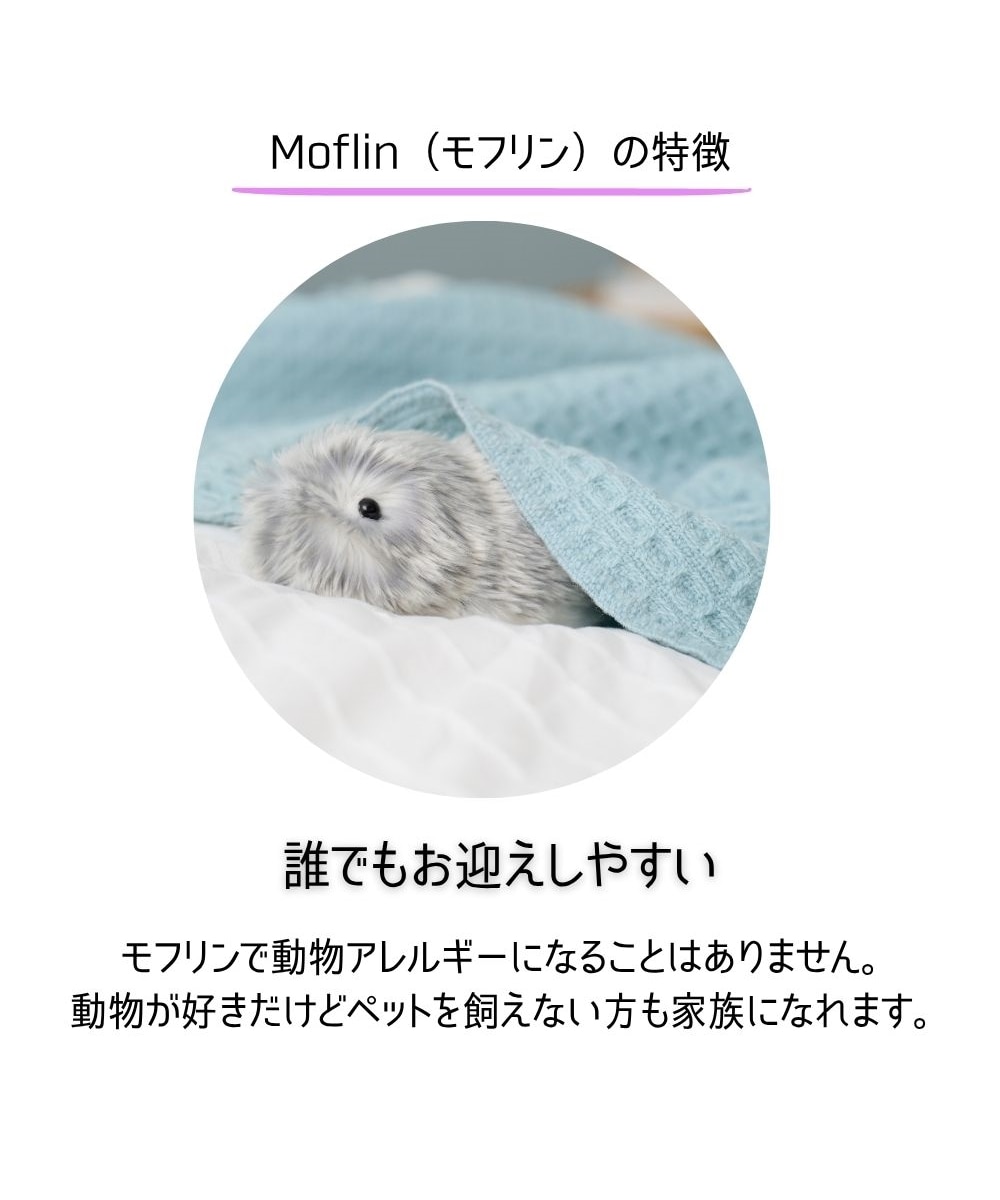 新品・未使用品 moflin モフリン シルバー AIロボットペット まるで