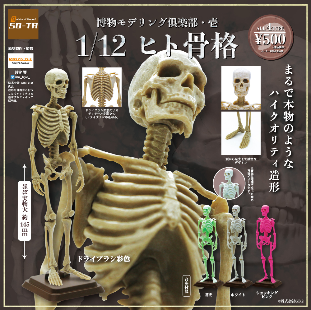 img_skeleton-100-2.jpg