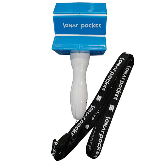 Sonar Pocket 10th Anniversary Tour flower