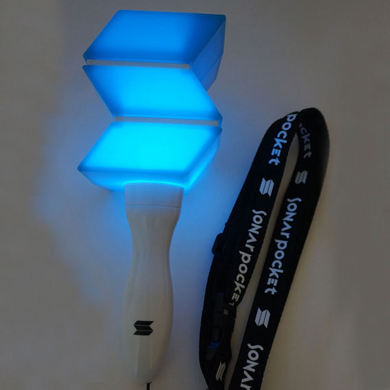 Sonar Pocket 10th Anniversary Tour flower