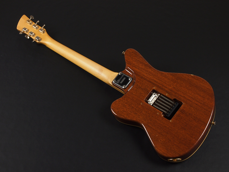 Eastwood Surfcaster サーフキャスターモデル Eastwood Surfcaster