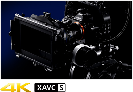 α7S | デジタル一眼カメラα（アルファ） | ソニー