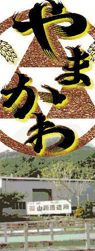 かねやま 限定秘蔵古酒 1967 40年古酒 琉球泡盛／山川酒造