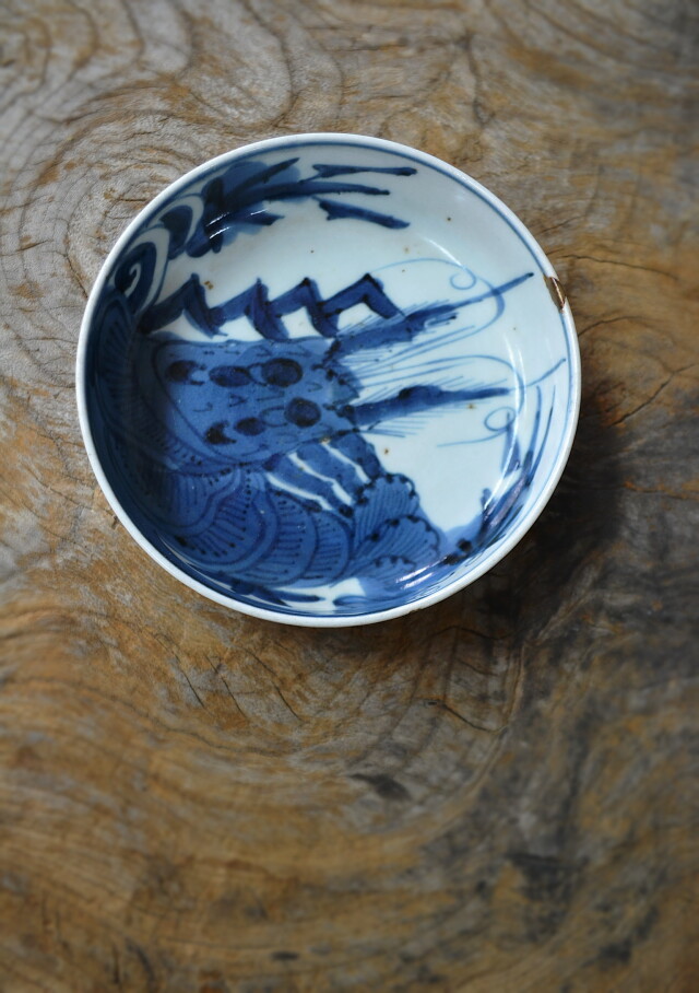 懐石料理 竹泉作 龍紋皿 五客(K-A941) 懐石料理 竹泉