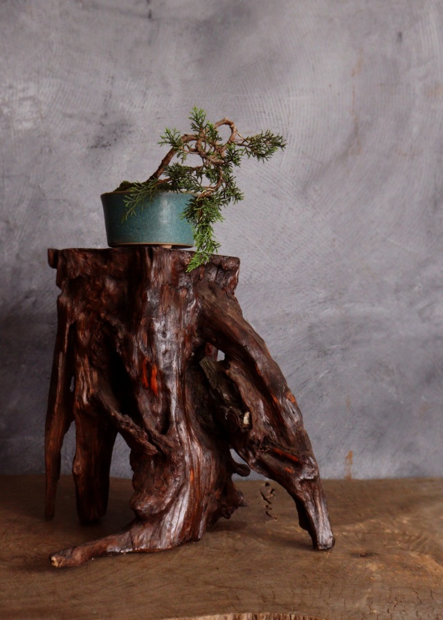 古黒檀 花台 香台 盆栽台 中高台