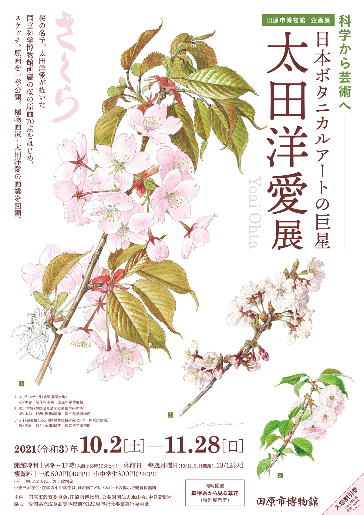 太田洋愛 ボタニカルアート第一人者の原画F3号 太田洋愛 ボタニカル