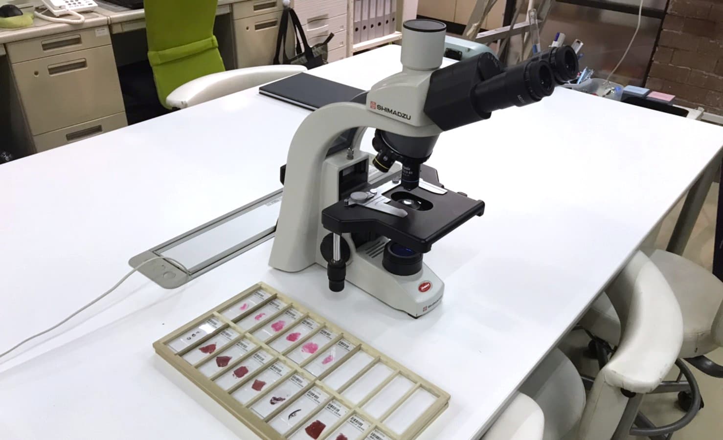 島津理化がドラマ「監察医 朝顔」の撮影に協力!!ドラフトチャンバー