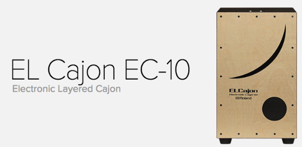 Roland EC-10 Cajon カホン専用カバサセット 美品 電子カホン Roland