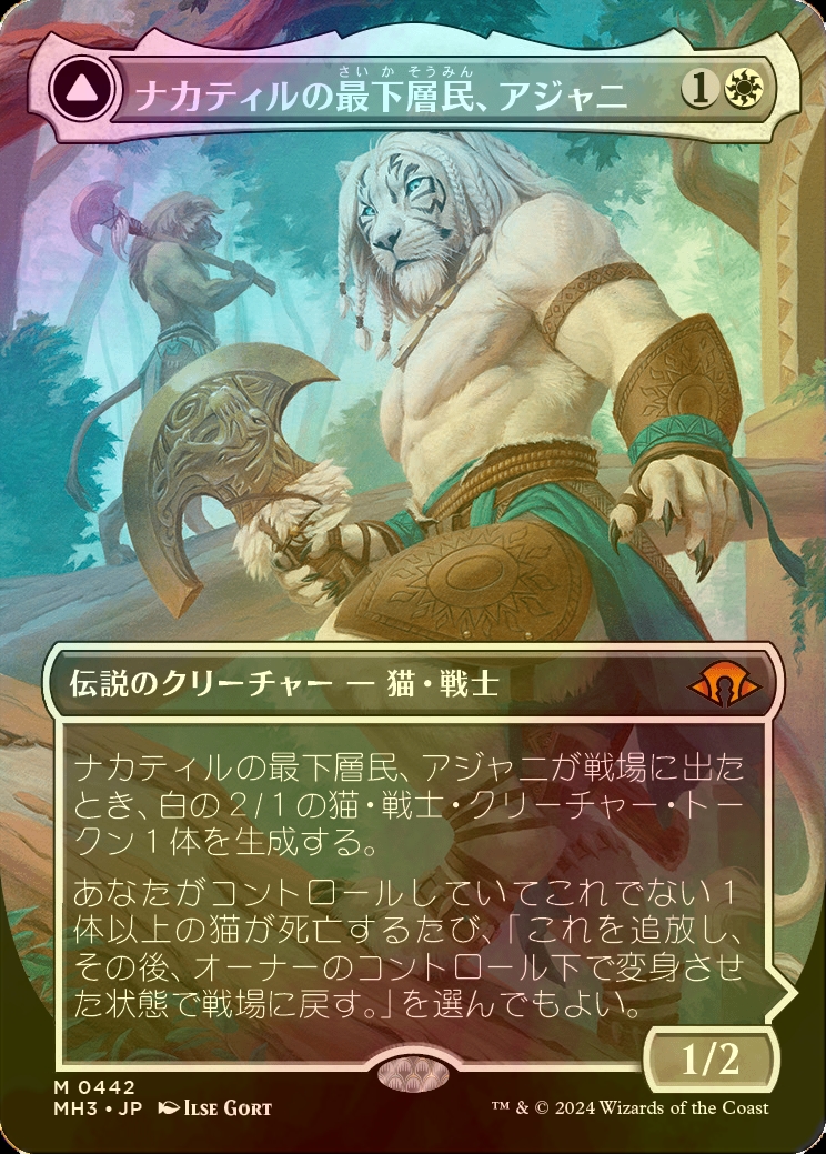 渡邉様）ナカティルの最下層民、アジャニ MH3 日本語 4枚 ナカティルの