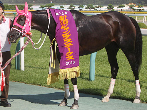 牝馬最高齢出走“名ジャンパー”ついに引退 - スポニチ競馬Web