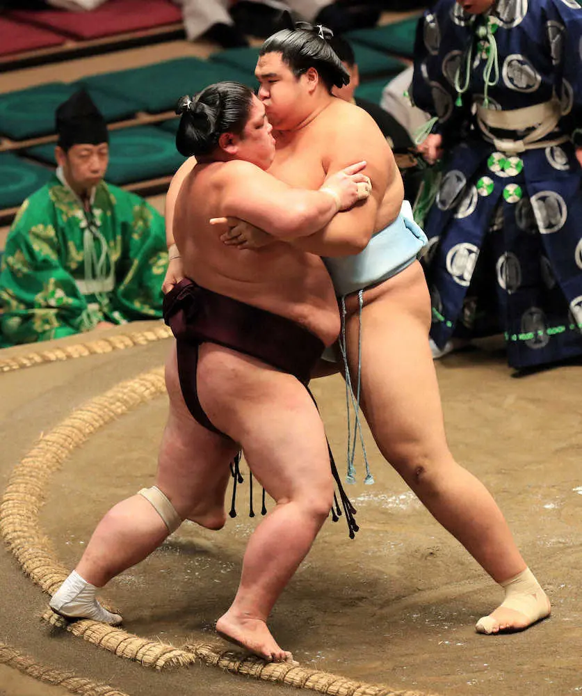 □相撲□腰紐□大鵬 □相撲□腰紐□大鵬 昭和40年11月場所優勝 横綱