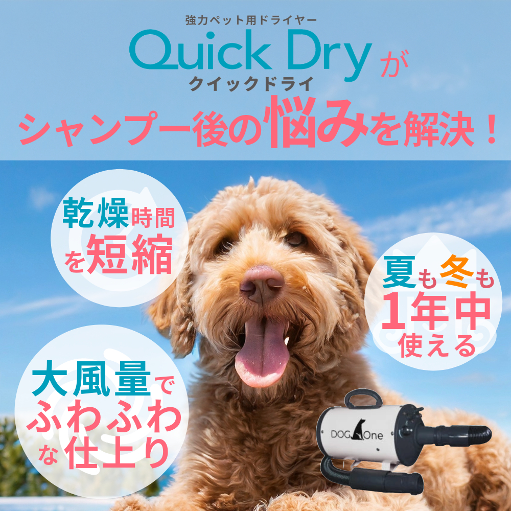 DogOne製 超強風 速乾 ペット用ドライヤー Quick Dry（クイックドライ