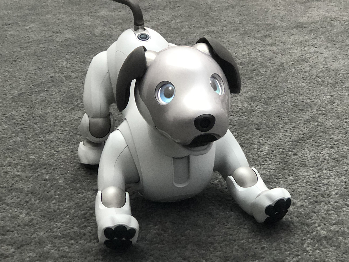本日1/19のみ！値引交渉承ります！！】SONY aibo ERS-1000 本日1/19