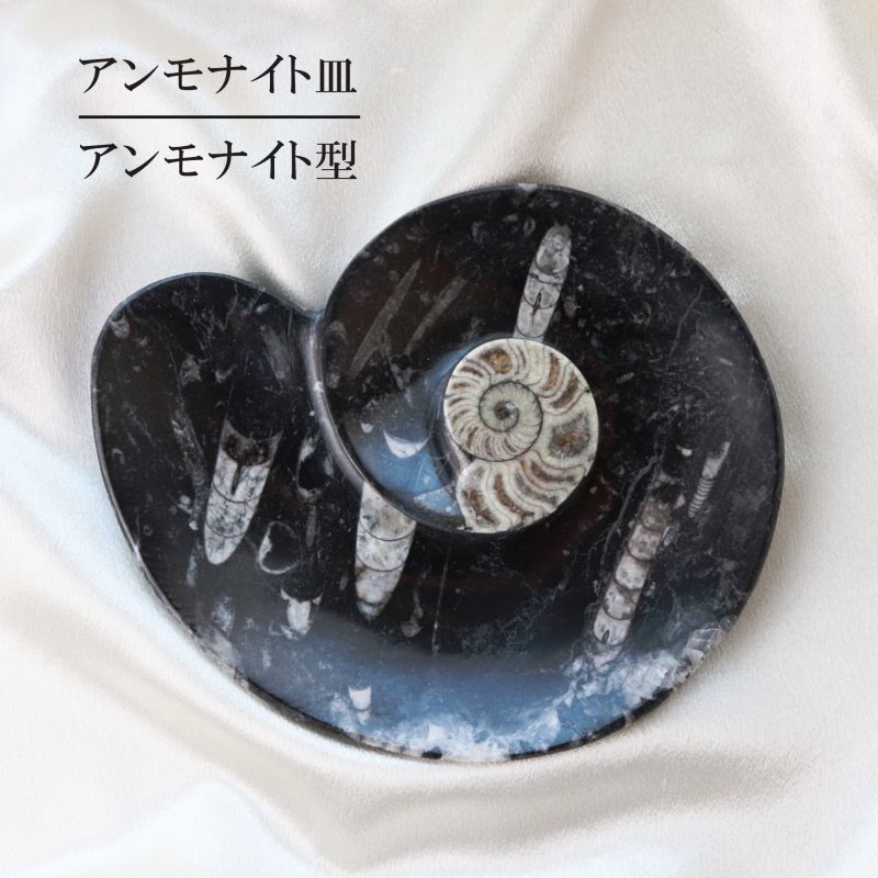 おすすめ黒いアンモナイト化石インテリア家具置物レトロコレクション