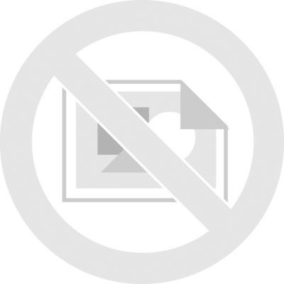 Apple AirPods Max Wireless Bluetooth Stereo Headphones, Silver