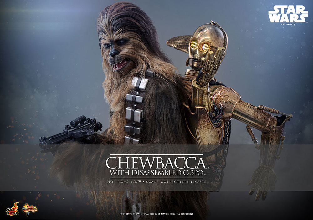 ホットトイズ『帝国の逆襲』チューバッカ＆C-3PO（分解）1／6スケール