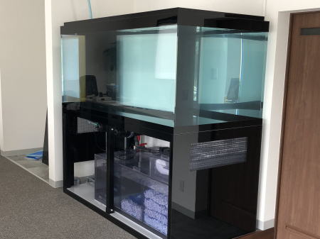 アクリル水槽4面ブラック900フルオーダー オーバーフロー マーフィード