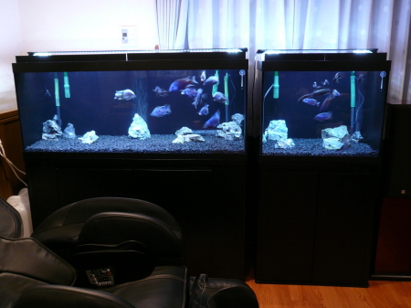 アクリル1200オーバーフロー水槽セット 4面ブラック 1200