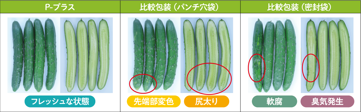 P-Pus NEWS｜住友ベークライト株式会社