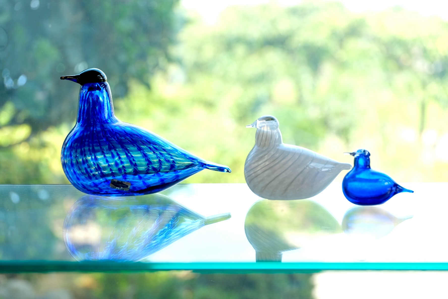 イッタラ バード オイバ・トイッカ クィーンフィッシャー iittala bird