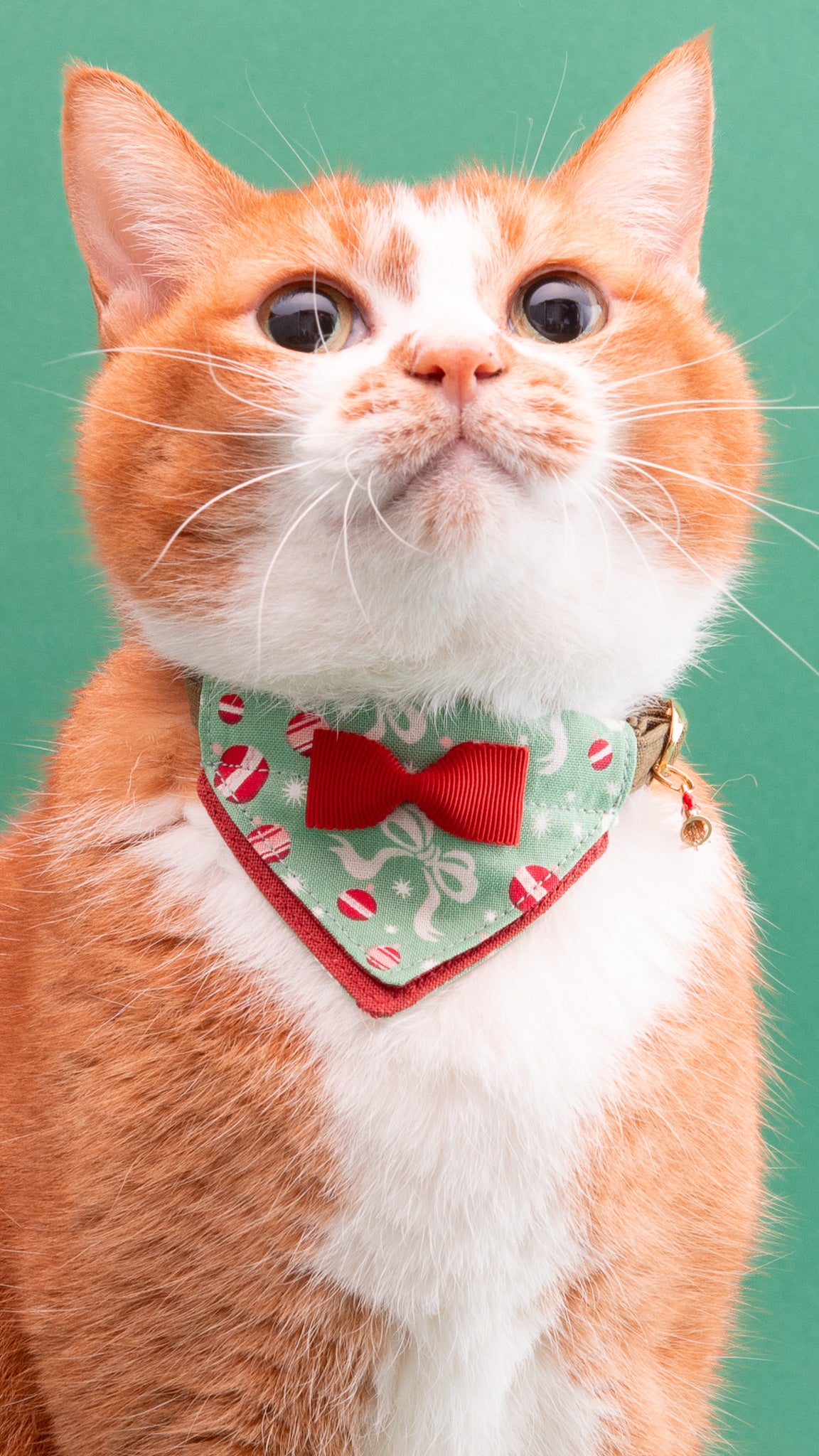 猫首輪 クリスマスコレクション｜ぽぽねこ公式オンラインショップ