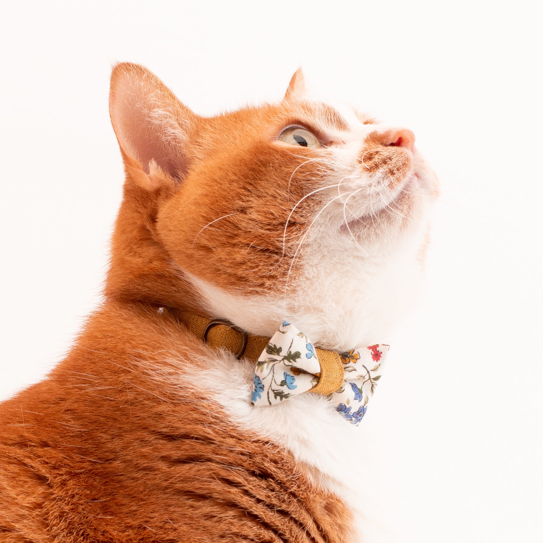 リボン付き猫首輪 フルラージュ＆ベルギーリネン ブルー×カラシ｜ぽぽ