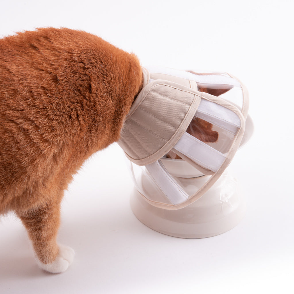 軽くて柔らかい猫用エリザベスカラー 視界良好タイプ｜ぽぽねこ公式