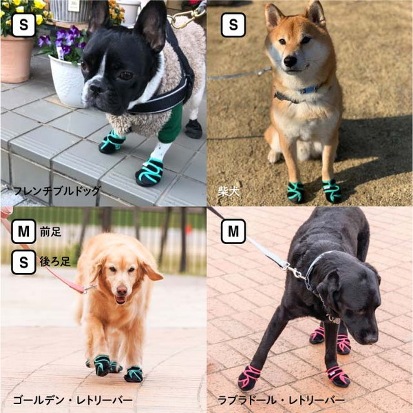 タビ型犬の靴 いぬたび スイートオレンジ 各サイズ（XS）/あにまる