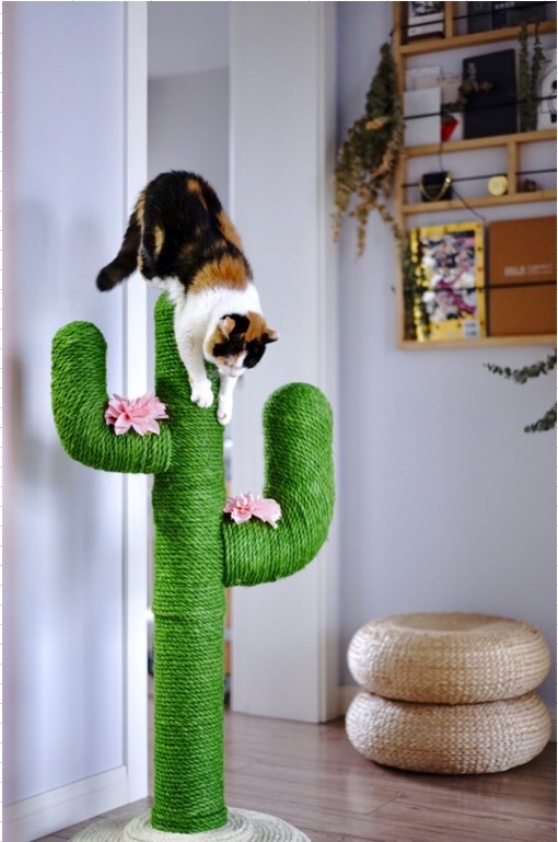 爪とぎタワー サボテン | グッズ | ペットアイ株式会社