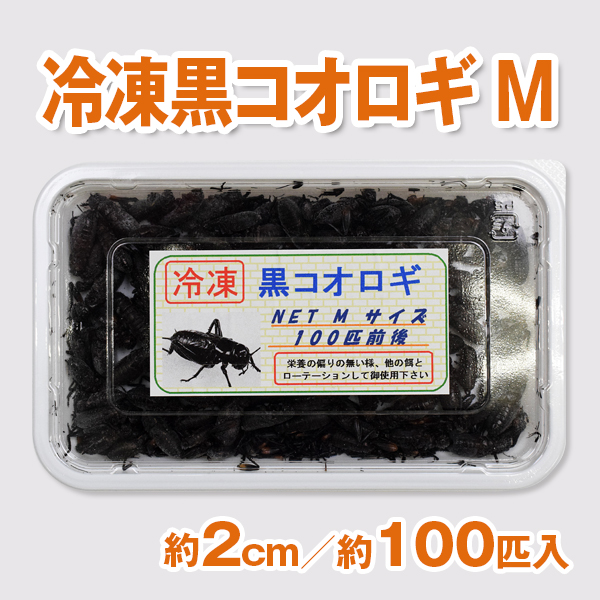 清潔コオロギ S〜Mサイズ 2kg 冷凍コオロギ クロコオロギ