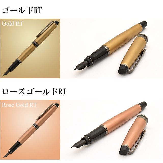 WATERMAN ウォーターマン エキスパート 万年筆 | ペンハウス