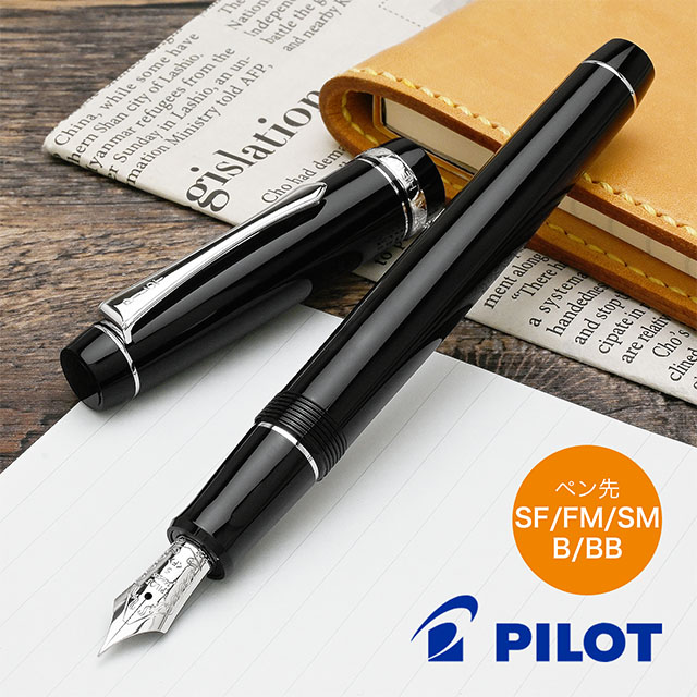 PILOTパイロットカスタム ヘリテイジ91 万年筆 山栗 PILOTパイロット