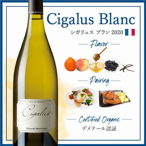 シガリュス ブラン (2020) | ピーロート・ジャパン ハイエンド・高級