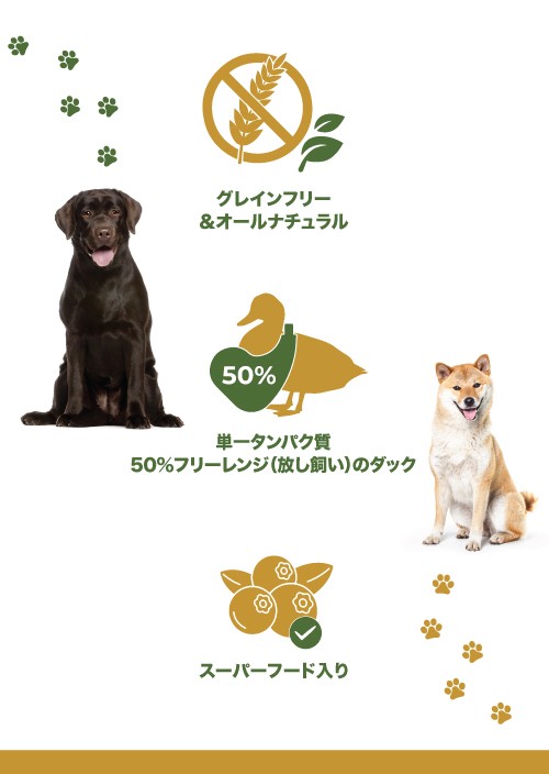 ドッグフード｜CP 鴨＆オレンジ【無料お試しサンプル】