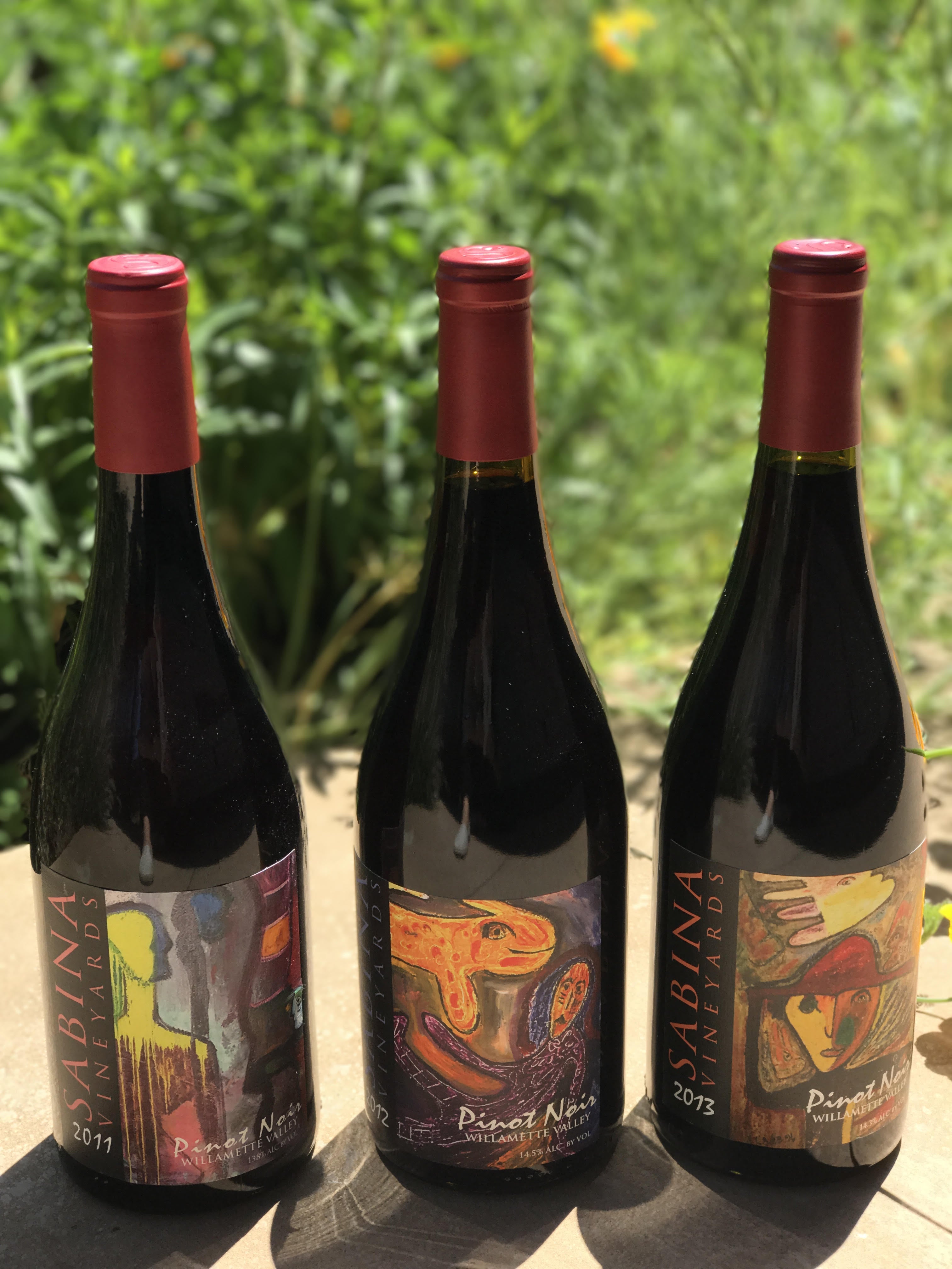 Sabina Pinot Noir Vertical – Qorkz