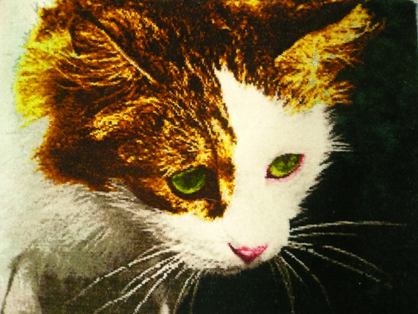 犬(チワワ）絵画絨毯 高級ペルシャ絨毯 ウール・シルク手織