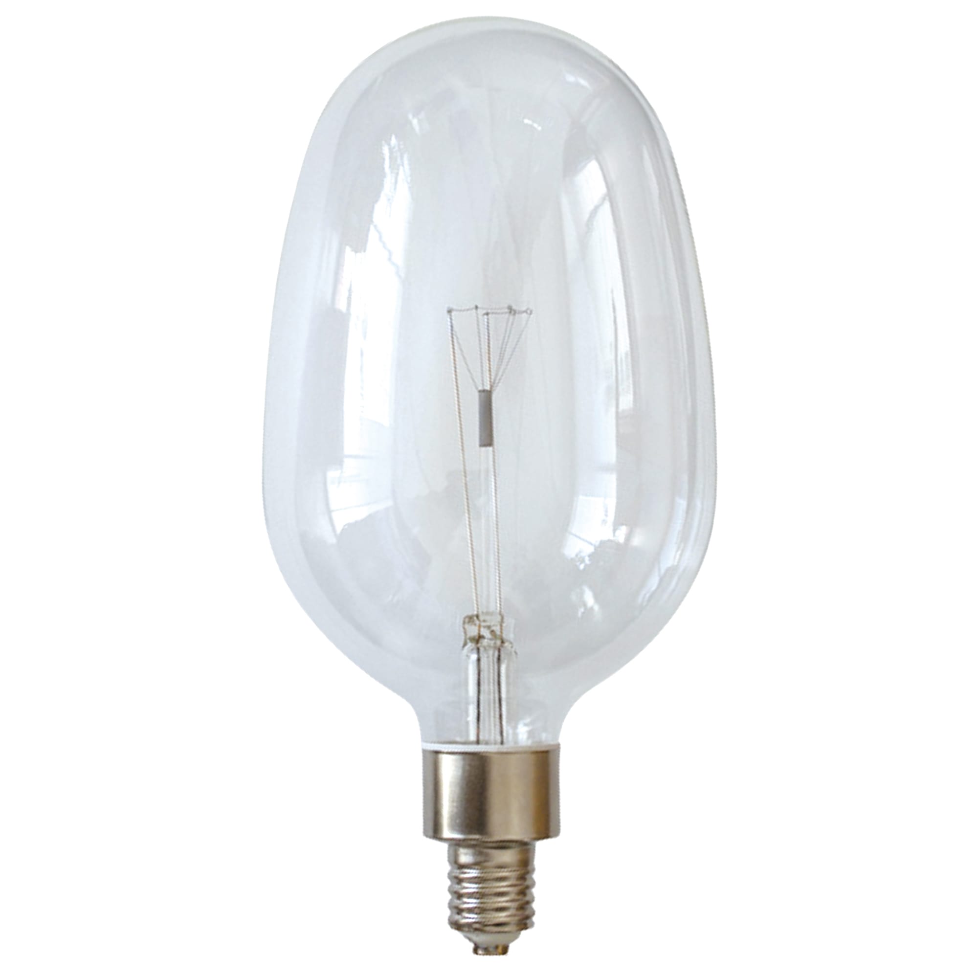 大型集魚灯電球 白熱イカ球(E39)100W | LT-BB005-03-G141 | 電球