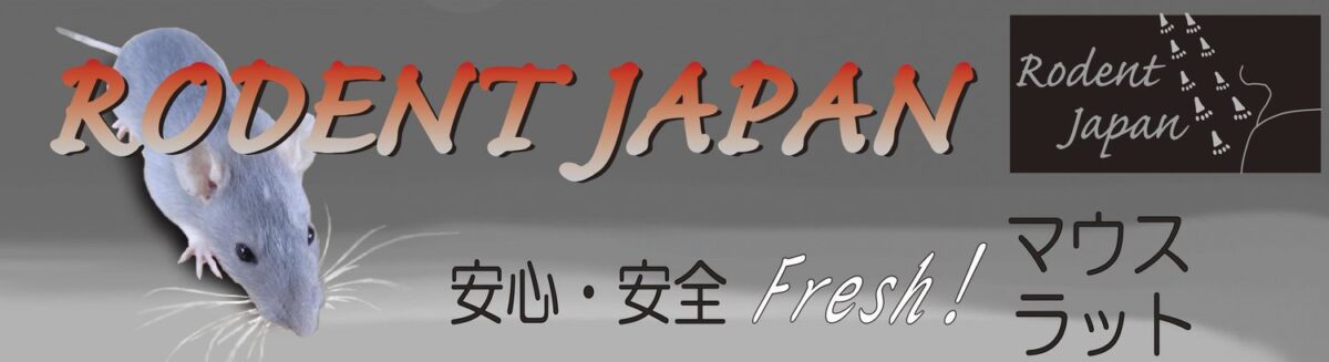 冷凍ラット ご予約品 酒井様 冷凍ラット ご予約品 酒井様 冷凍ラット