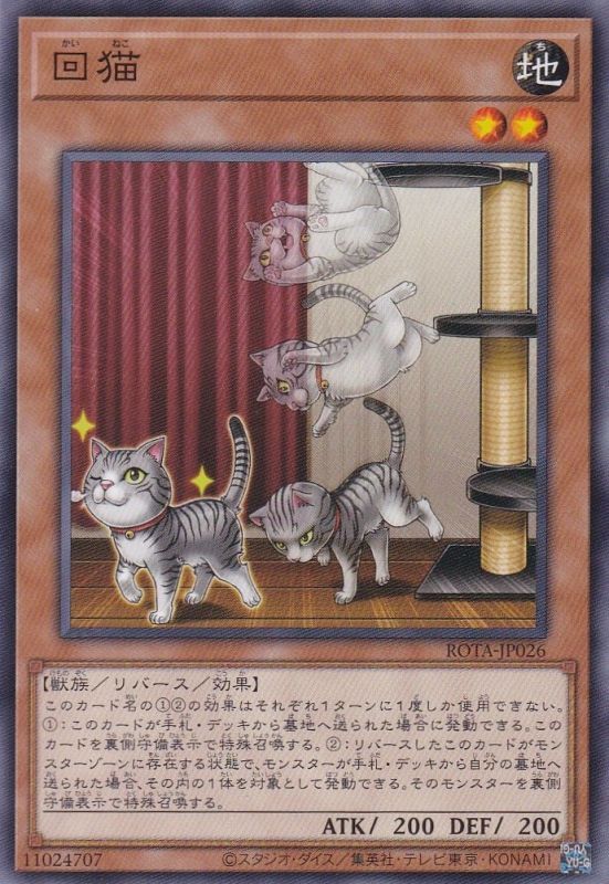 遊戯王 量子猫 プレイマット 遊戯王 英語版 量子猫 プレイマット
