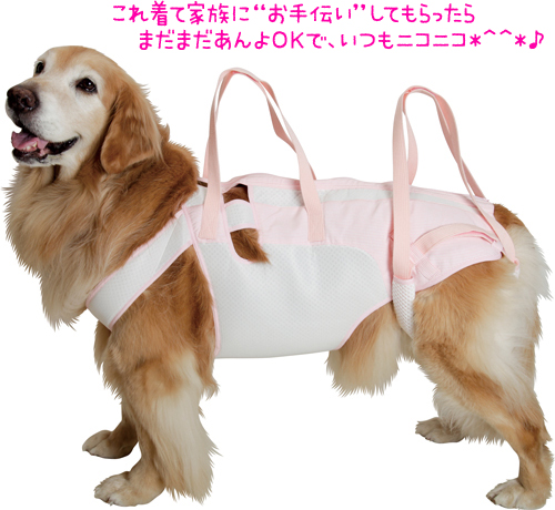 後脚付］着たままねんねのハニカムつなぎ（犬の介護用品）