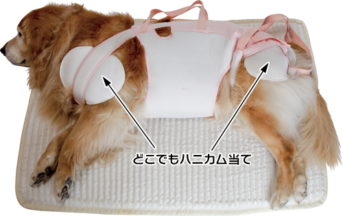 アイアンバロン 着たままねんねのハニカムつなぎ Mサイズ ※後ろ足つき