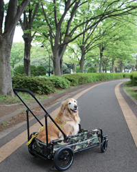 ムーラン AirBuggy エアバギーキャリッジ 大型犬カート CARRIAGE