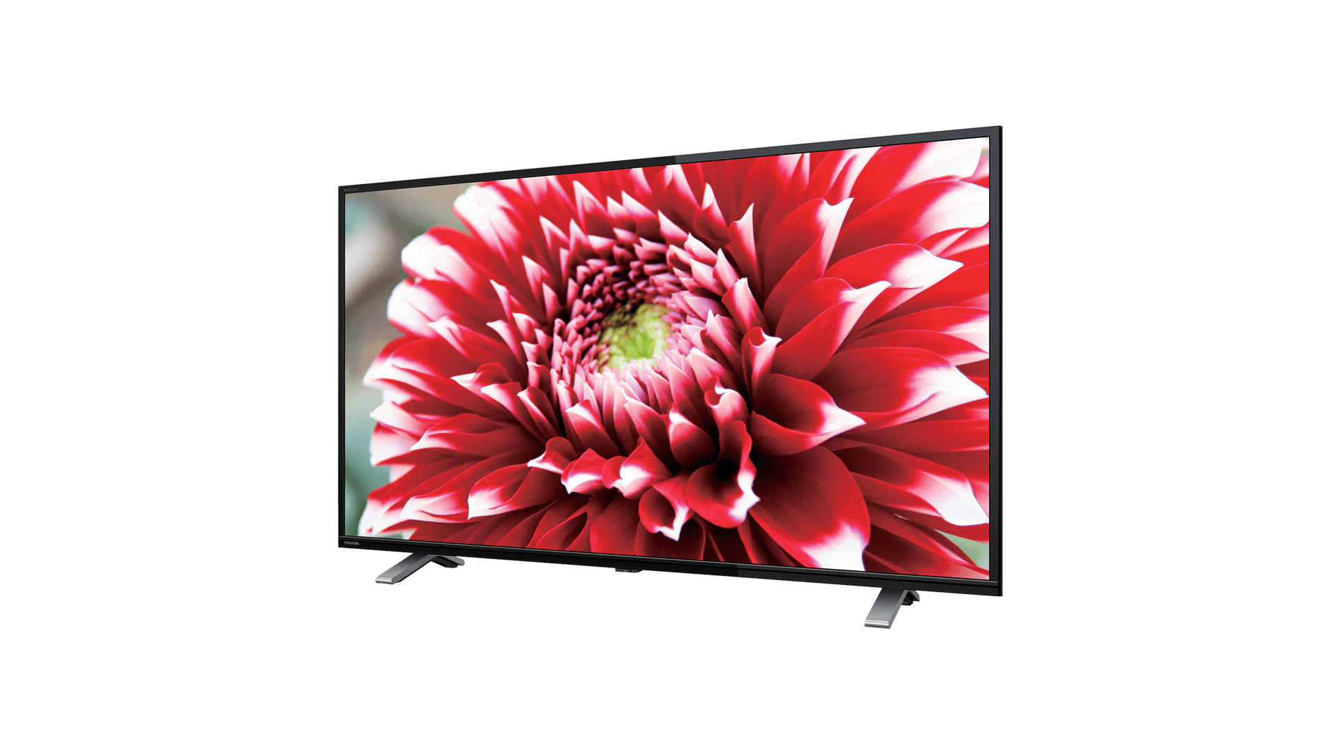TOSHIBA REGZA 32V34 液晶テレビ 2022年式 TOSHIBA（東芝） REGZA 32V34 32V型 ハイビジョンLED液晶テレビ : D