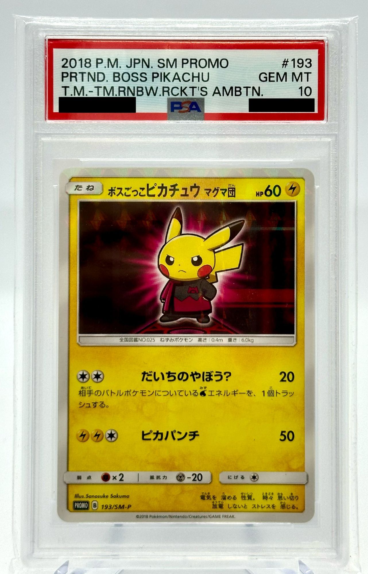 ボスごっこピカチュウ マグマ団 PSA10 【公式通販】