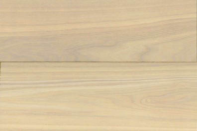 ウッドテクニカラーバイブル(たも、なら、パイン) 3冊-ウッディ