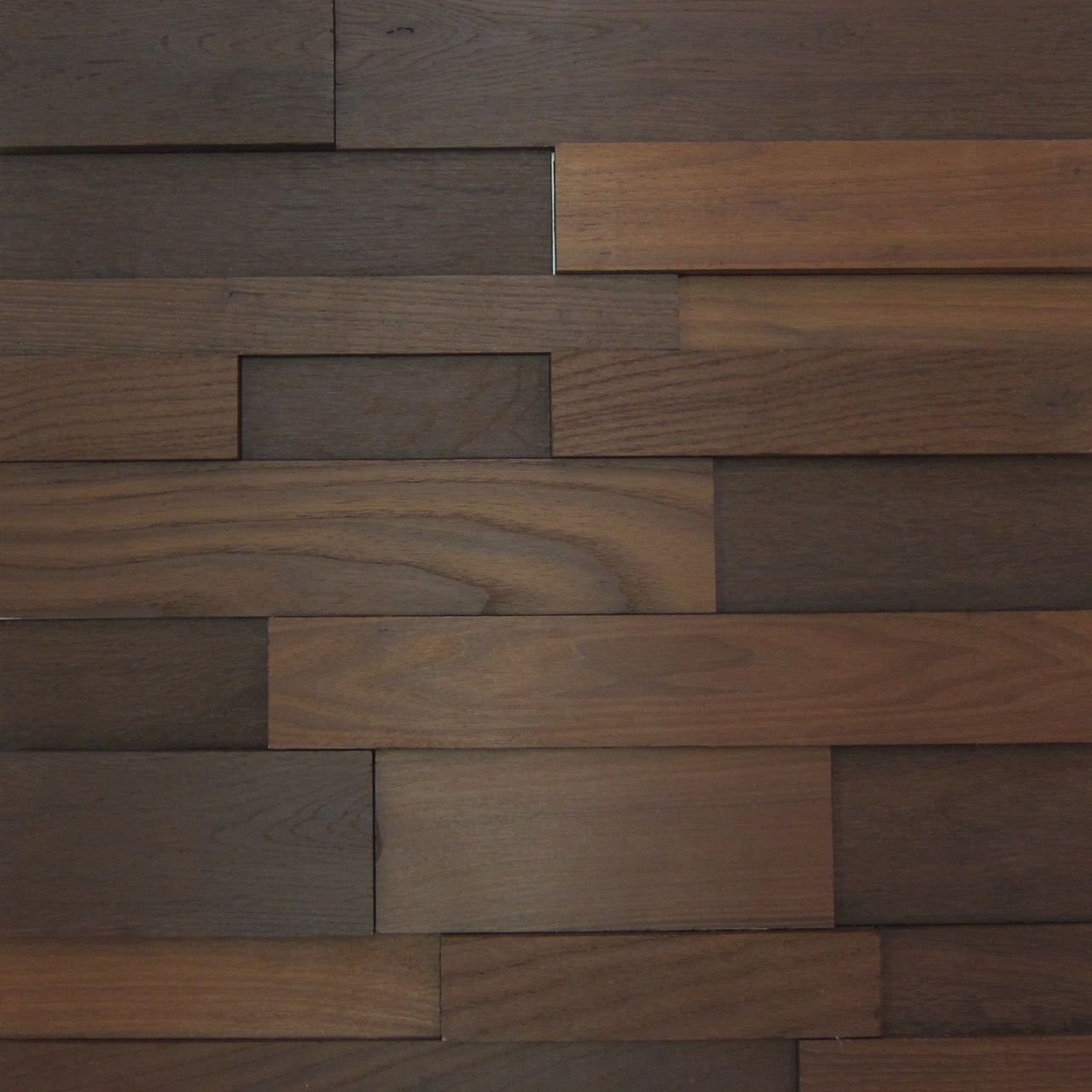 ウッドテクニカラーバイブル(たも、なら、パイン) 3冊-ウッディワールド